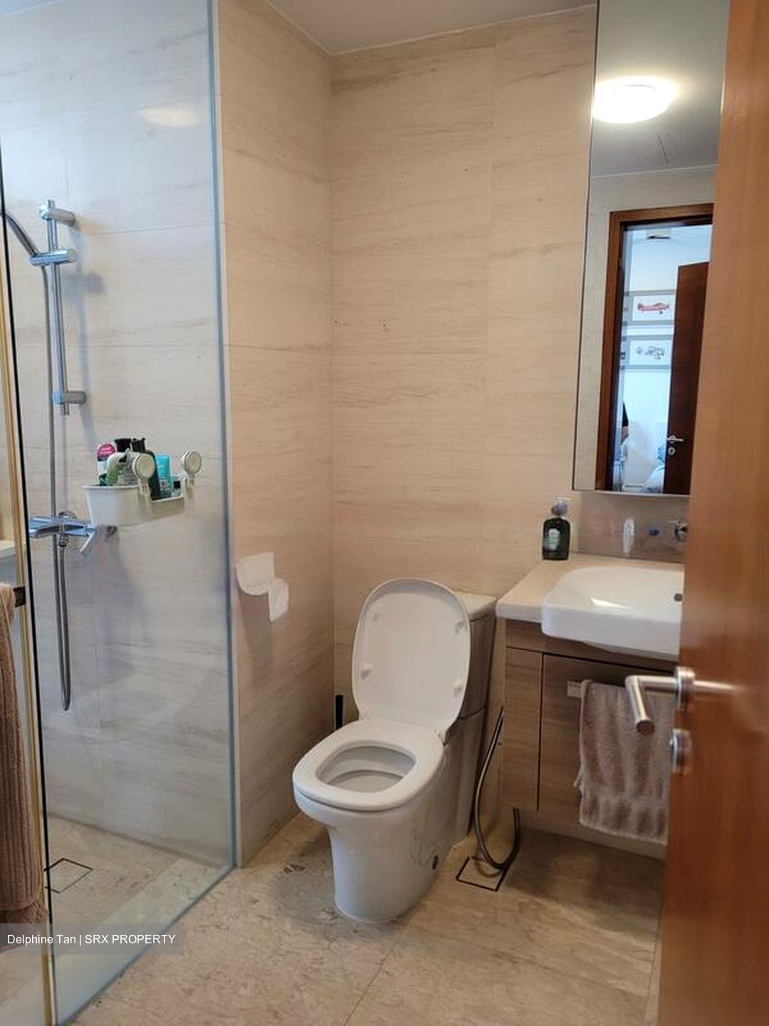 The Whitley Residences (D11), Detached #465158191